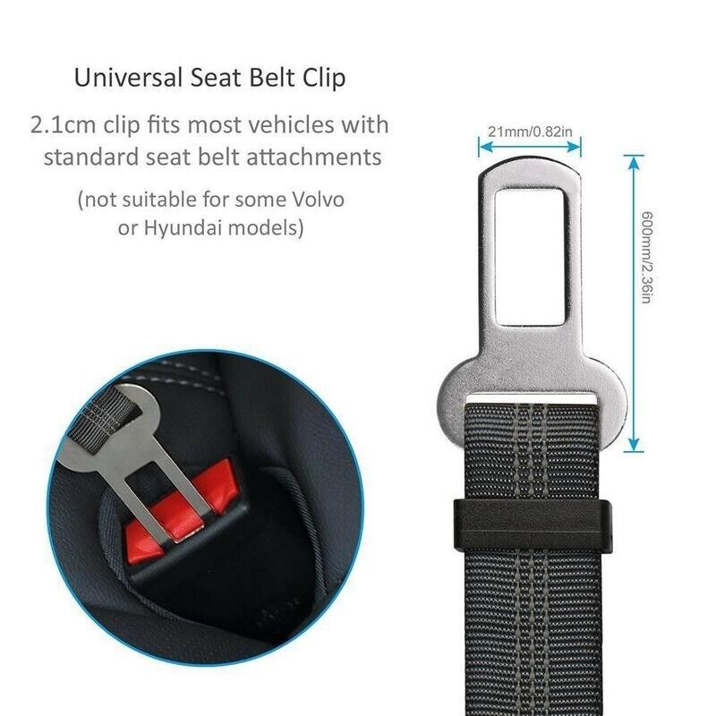 Furella Dog Seat-Belt Restraint (2-Pack)