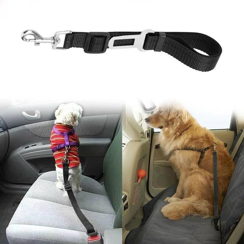 Furella Dog Seat-Belt Restraint (2-Pack)