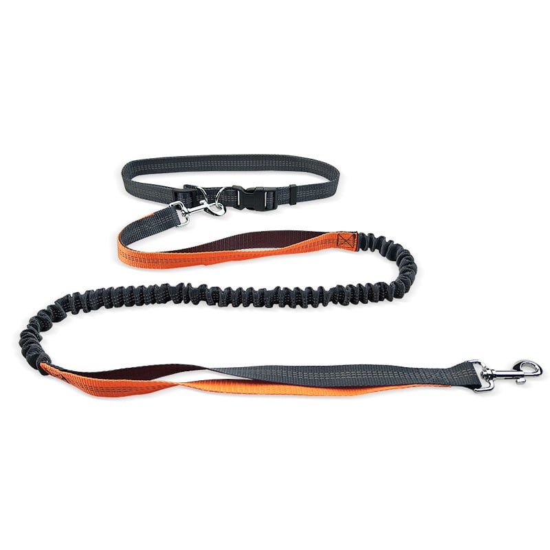 Furella Hands-Free Walking Belt & Bungee Leash