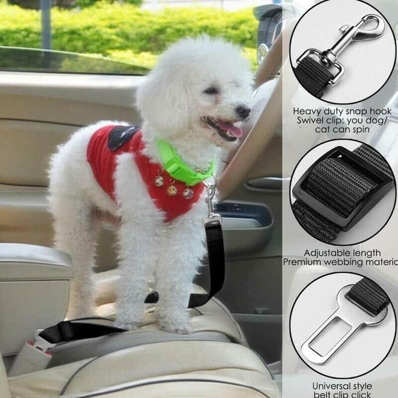 Furella Dog Seat-Belt Restraint (2-Pack)