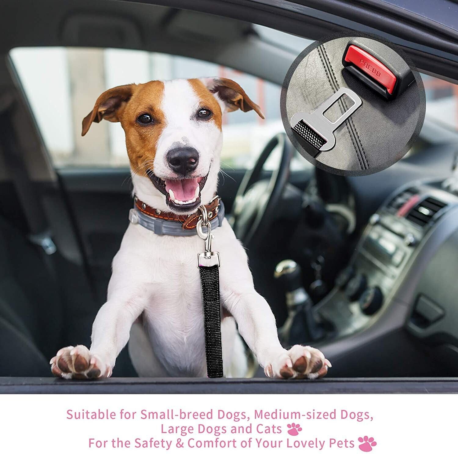 Furella Dog Seat-Belt Restraint (2-Pack)