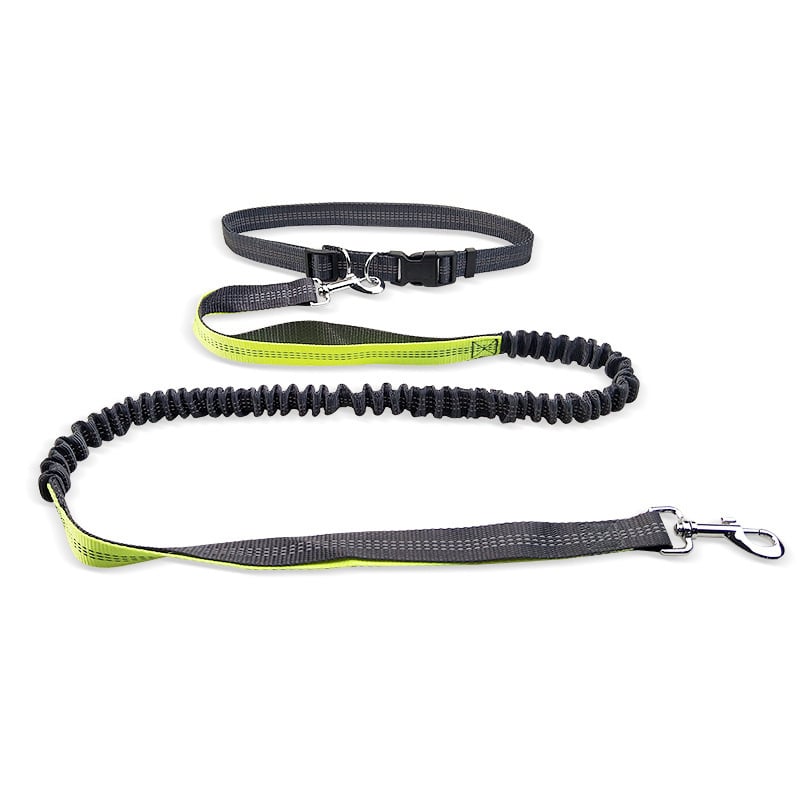 Furella Hands-Free Walking Belt & Bungee Leash
