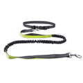 Furella Hands-Free Walking Belt & Bungee Leash