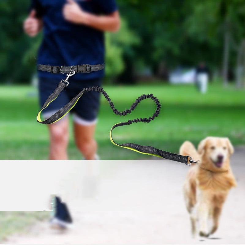 Furella Hands-Free Walking Belt & Bungee Leash